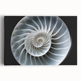 Colorful stretched canvas artwork showcasing a whimsical snail design, perfect for nature-themed decor. The vibrant illustration adds a playful touch to any wall.