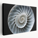 Side view of a stretched canvas featuring a whimsical snail design, showcasing vibrant colors and intricate patterns, perfect for animal-themed home decor.