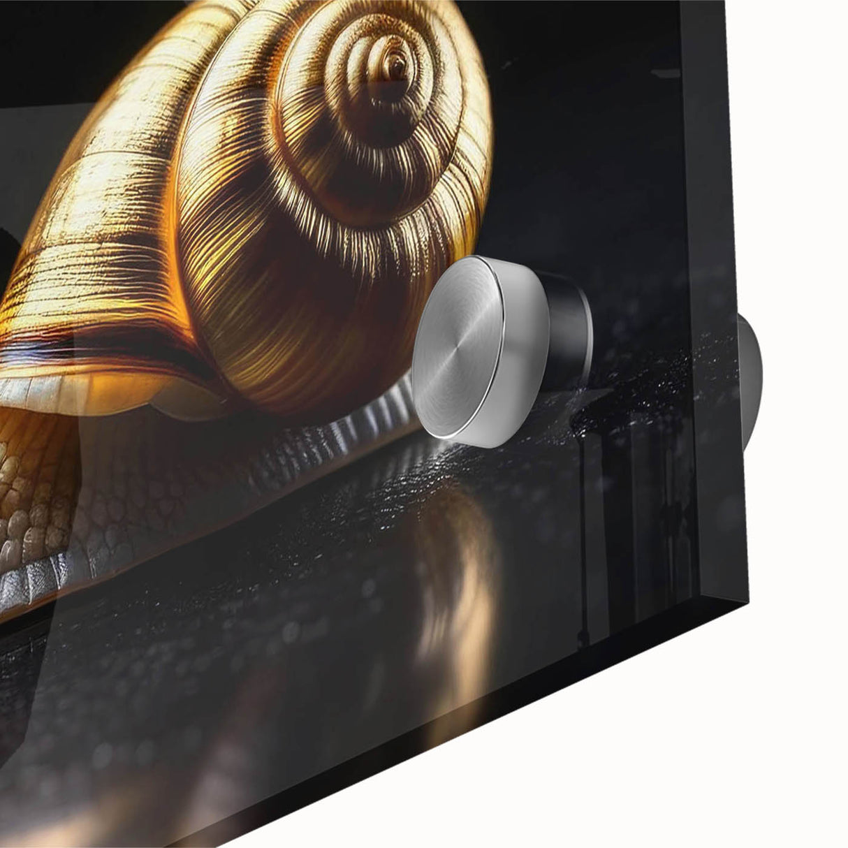 Close-up view of a vibrant acrylic wall art design featuring a colorful snail, showcasing intricate patterns and details, ideal for animal lovers and nature enthusiasts.