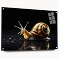 Colorful acrylic glass wall art featuring a whimsical snail design from the "Animals: A Wild Life" collection, displayed in a contemporary side view with pins for mounting.