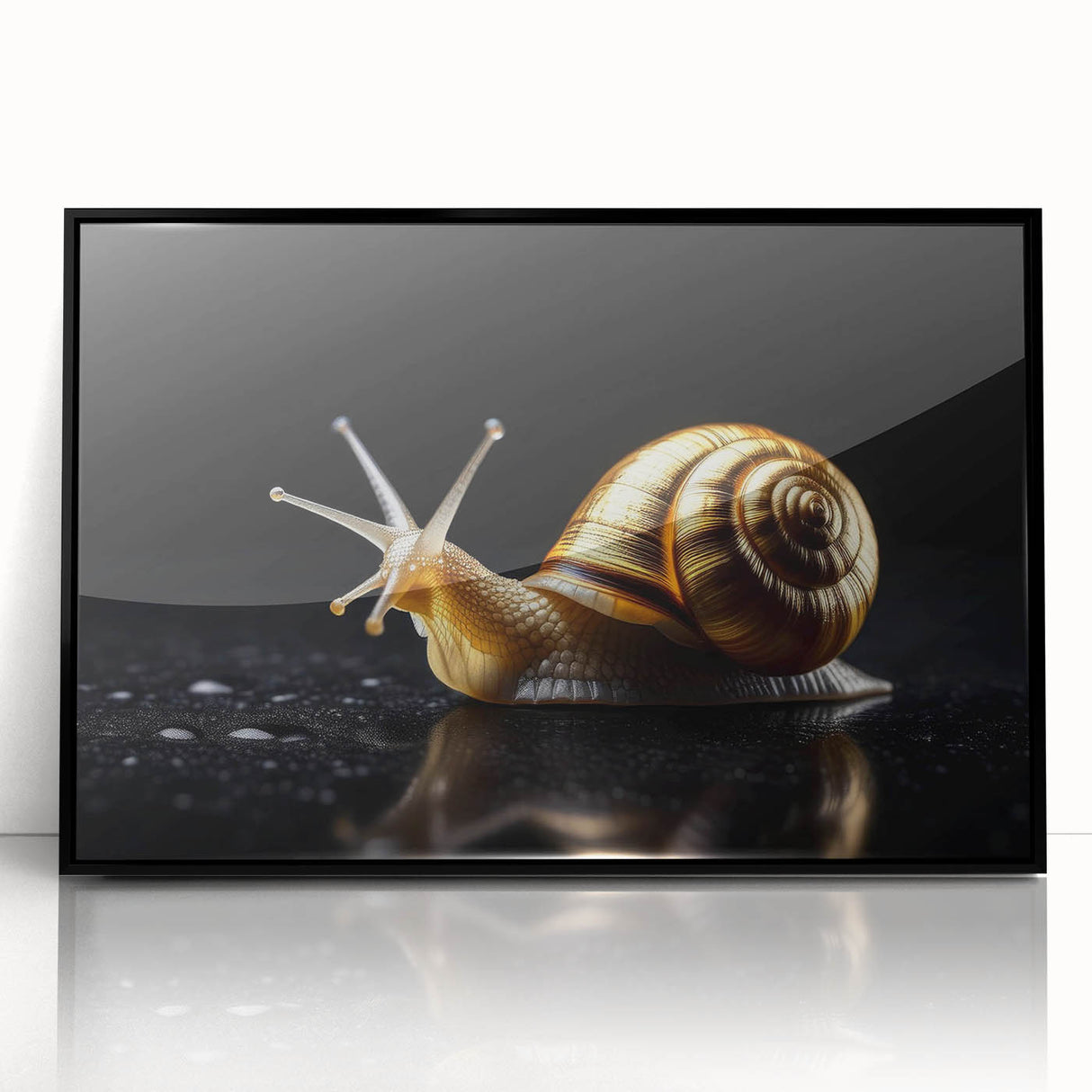 Framed acrylic wall art featuring a detailed snail design in vibrant colors, set against a sleek black frame, ideal for enhancing modern home decor.