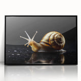 Framed acrylic wall art featuring a detailed snail design in vibrant colors, set against a sleek black frame, ideal for enhancing modern home decor.