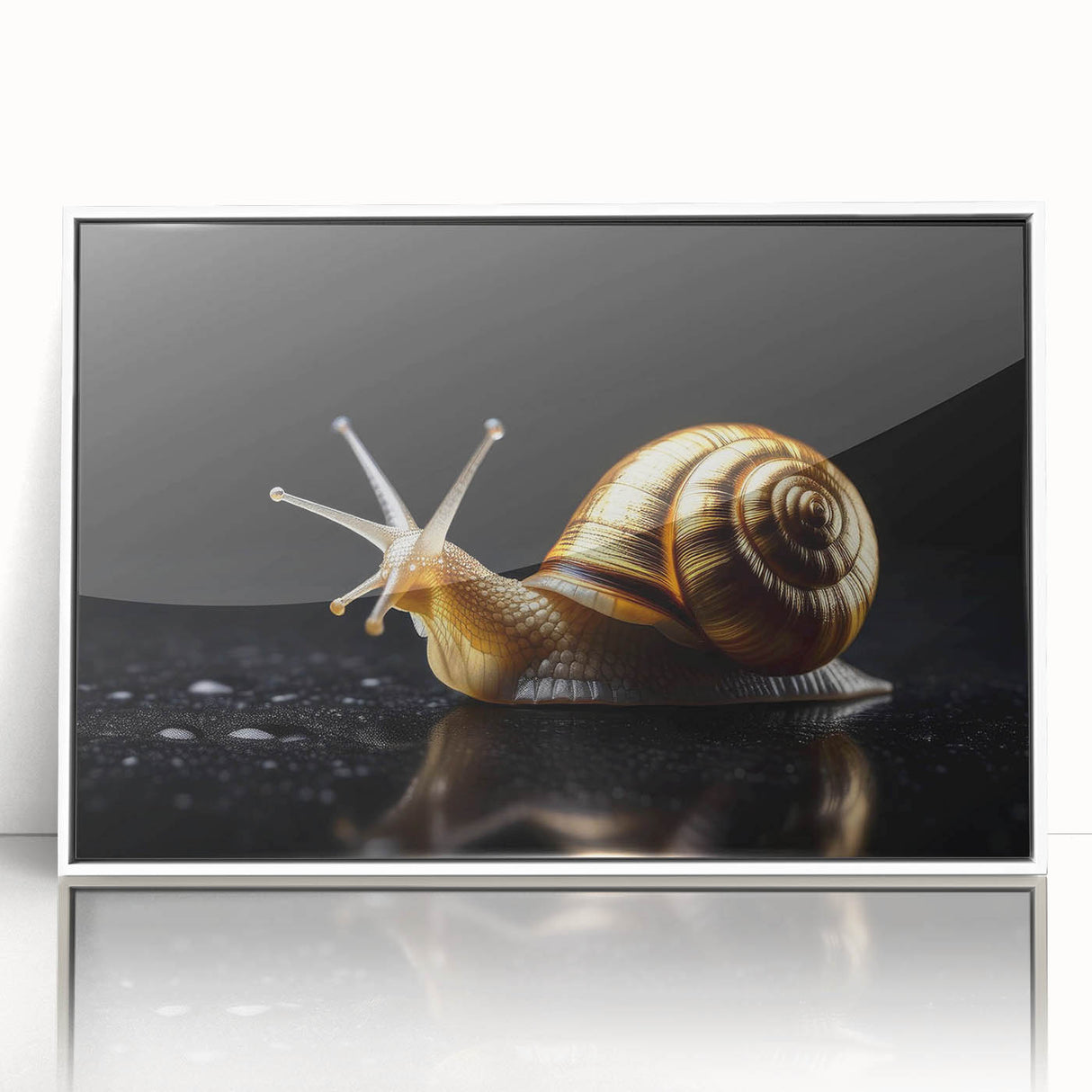 Framed acrylic wall art featuring a whimsical snail design, showcasing vibrant colors and intricate details, perfect for adding a playful touch to any decor.