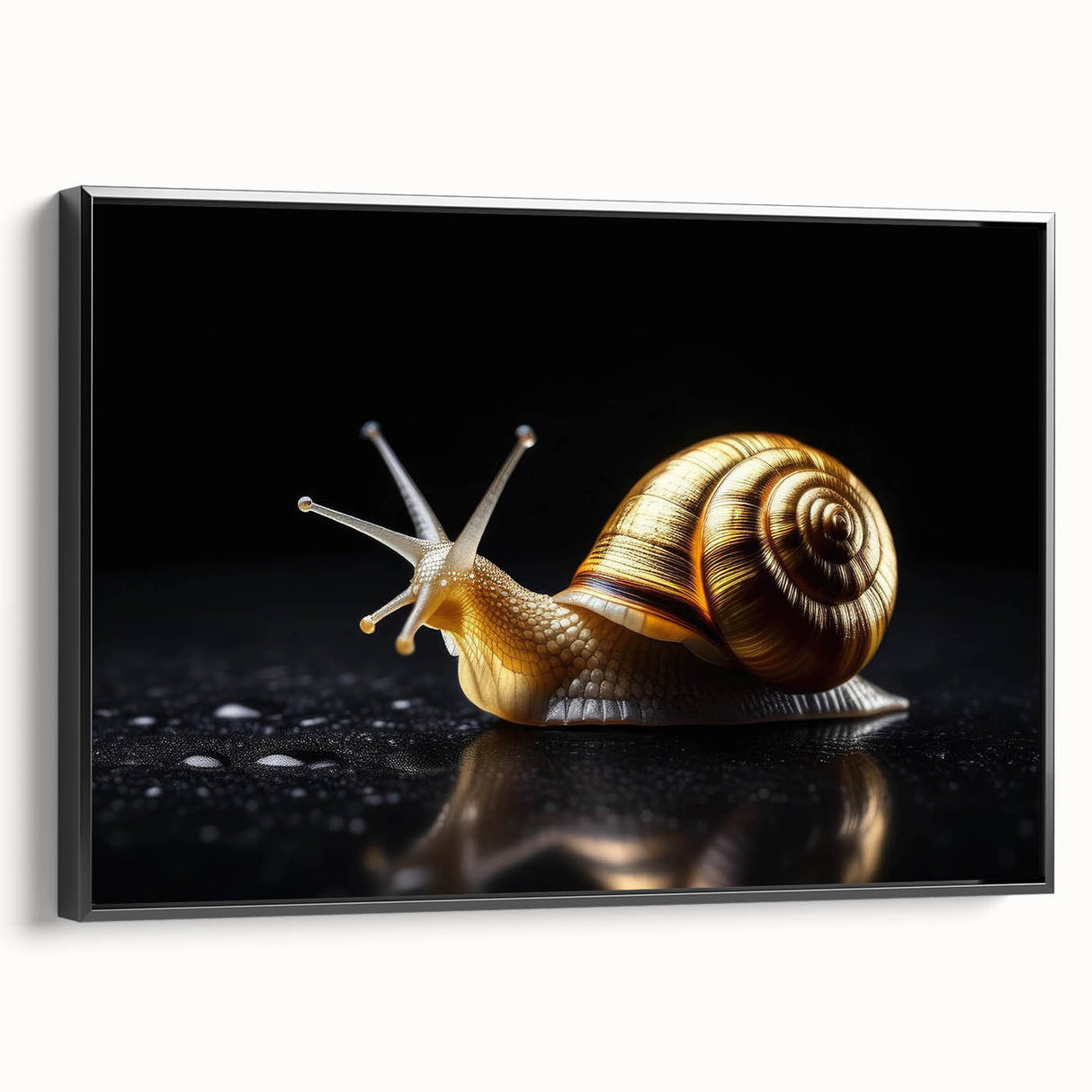 Framed canvas wall art showcasing a vibrant snail design with intricate details, set against a sleek black background, ideal for nature enthusiasts and home décor.