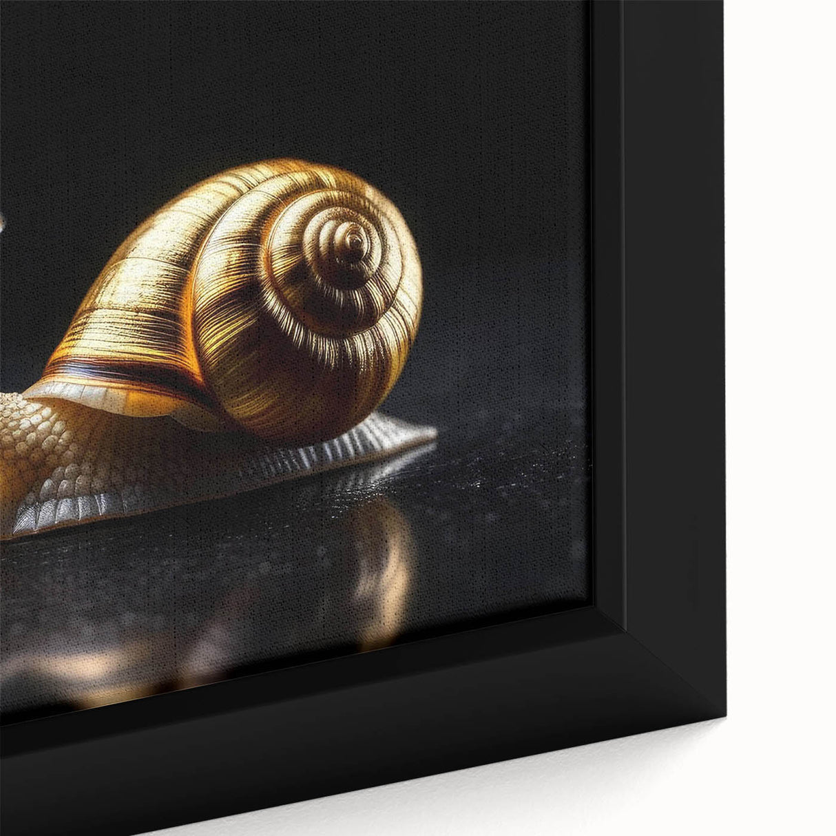 Close-up of a framed canvas wall art piece showcasing a vibrant, detailed snail design, emphasizing colorful patterns and textures, ideal for nature lovers and home decor.