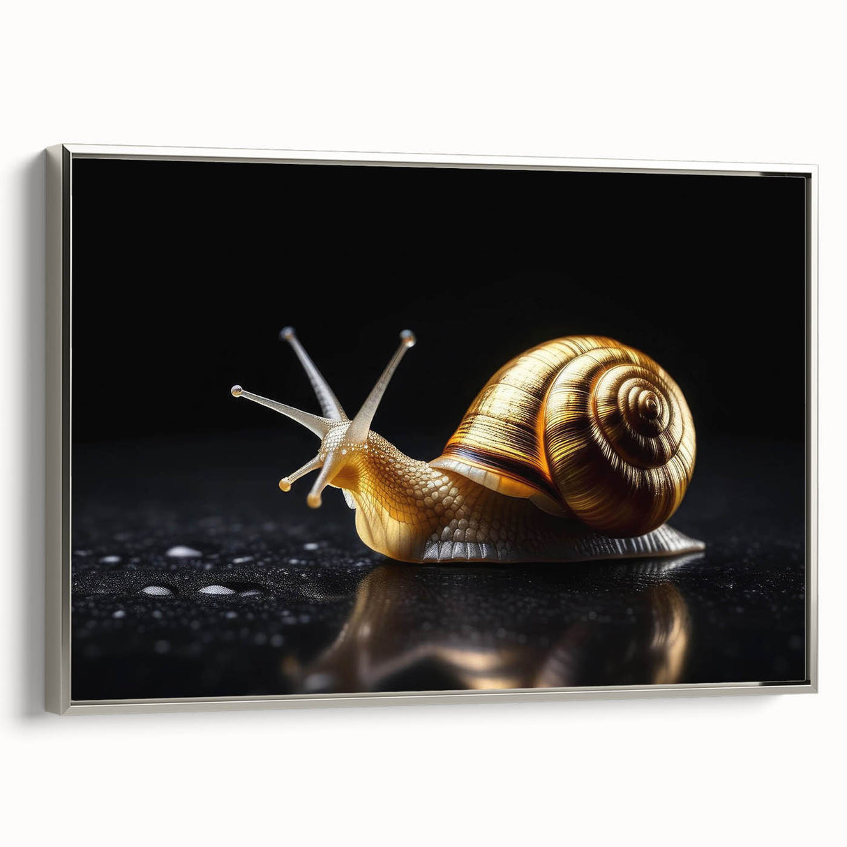 Framed wall art showcasing a silver-bordered snail design on canvas, featuring intricate details and vibrant colors, ideal for nature enthusiasts and home decor.