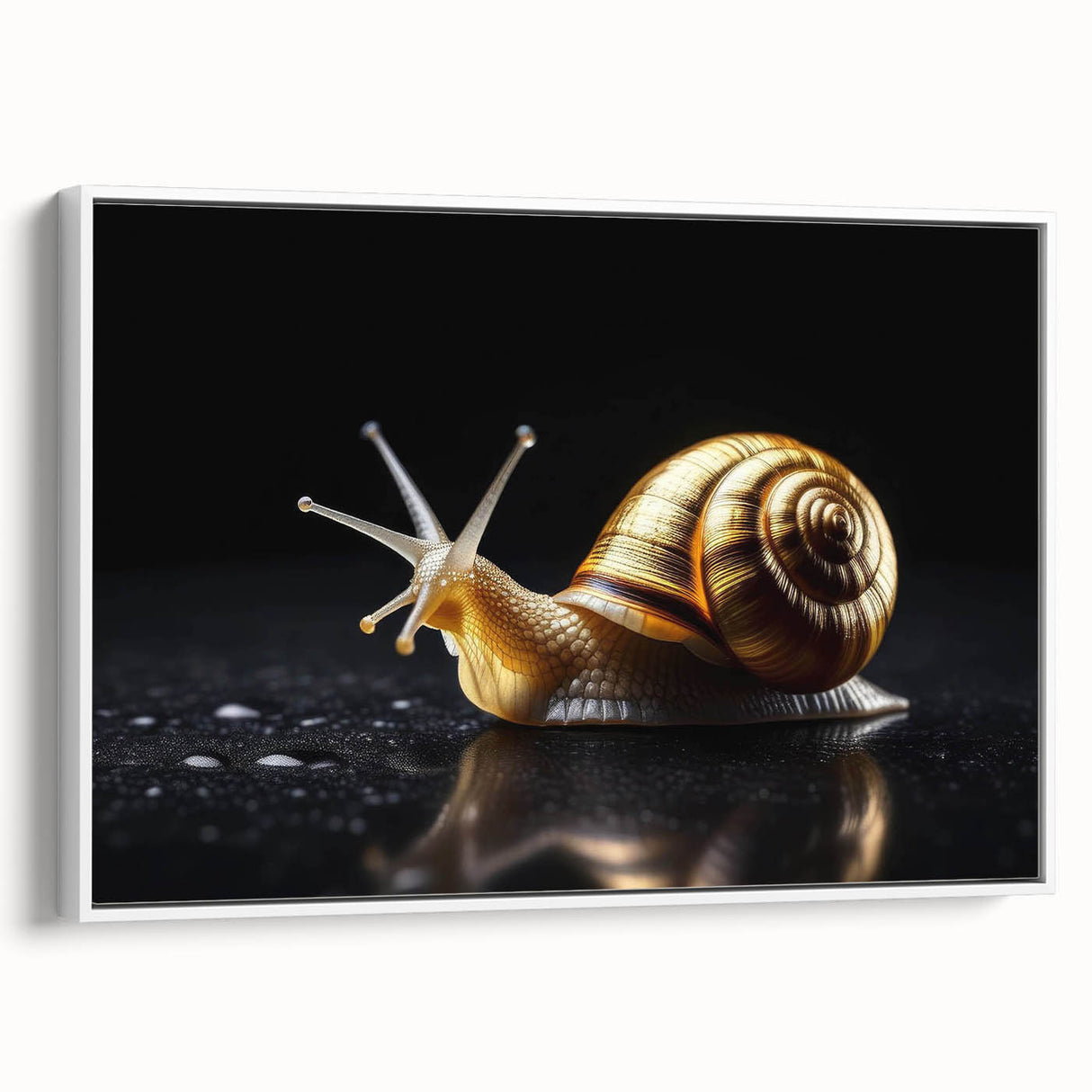 Framed canvas wall art showcasing a whimsical snail design, featuring vibrant colors and intricate details, ideal for adding a playful touch to home decor.