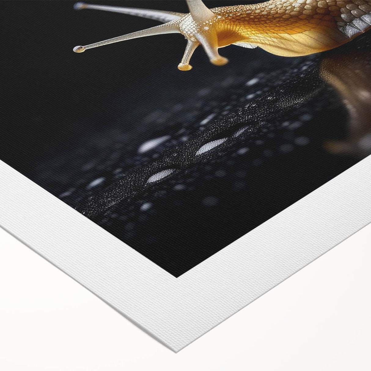 Colorful rolled canvas wall art showcasing a whimsical snail design, perfect for nature-themed decor, featuring vibrant hues and intricate details.
