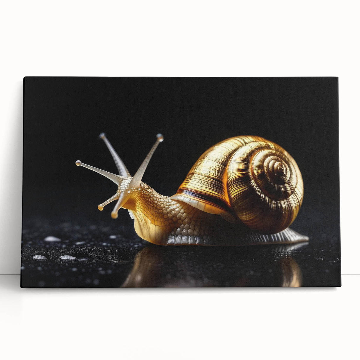 Colorful snail-themed wall art design on stretched canvas, showcasing vibrant patterns and textures, perfect for nature lovers and home decor enthusiasts.