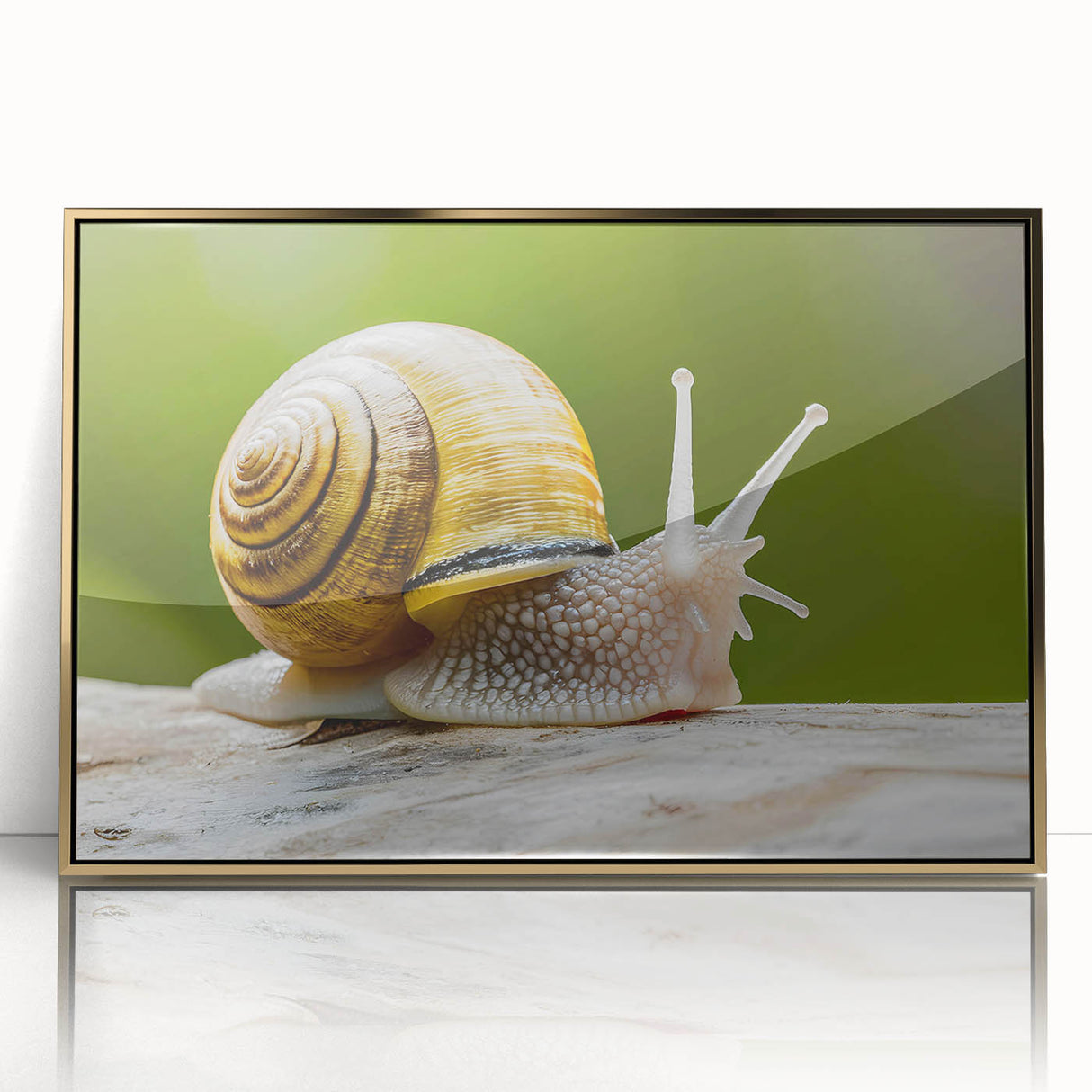 Framed wall art featuring a vibrant snail design with intricate details, set in a gold-accented frame, perfect for adding a touch of nature-inspired elegance to any decor.