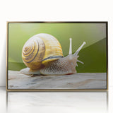 Framed wall art featuring a vibrant snail design with intricate details, set in a gold-accented frame, perfect for adding a touch of nature-inspired elegance to any decor.