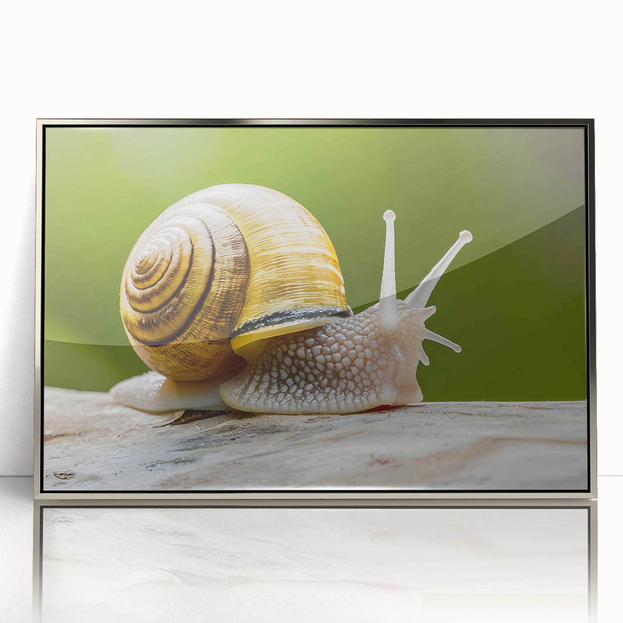 Framed wall art featuring a vibrant snail design, showcasing intricate details and colors against a silver background, ideal for nature and animal lovers' decor.