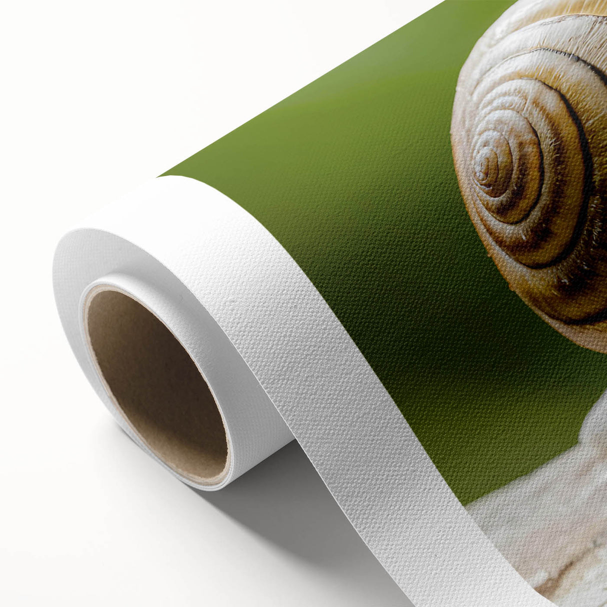 Colorful snail design wall art on rolled canvas, showcasing intricate patterns and vibrant hues, ideal for nature-themed decor in any room.