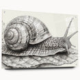 Vibrant acrylic glass wall art featuring a colorful snail design from the Animals A Wild Life collection, displayed in a side view with metal pins for mounting.