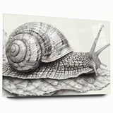 Acrylic wall art featuring a colorful snail design from the Animals a Wild Life collection, displayed in a modern setting, showcasing vibrant details and textures.