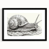 Framed wall art featuring a whimsical snail design with vibrant colors, set against a sleek black mat, perfect for animal-themed home decor. Ideal for nature lovers.