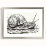 Framed wall art collection featuring a whimsical snail design in soft pastel colors, set in a stylish silver frame with a mat, perfect for children's room decor.