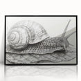 Framed wall art featuring a whimsical snail design in vibrant colors on a sleek black background, ideal for adding a playful touch to home decor.