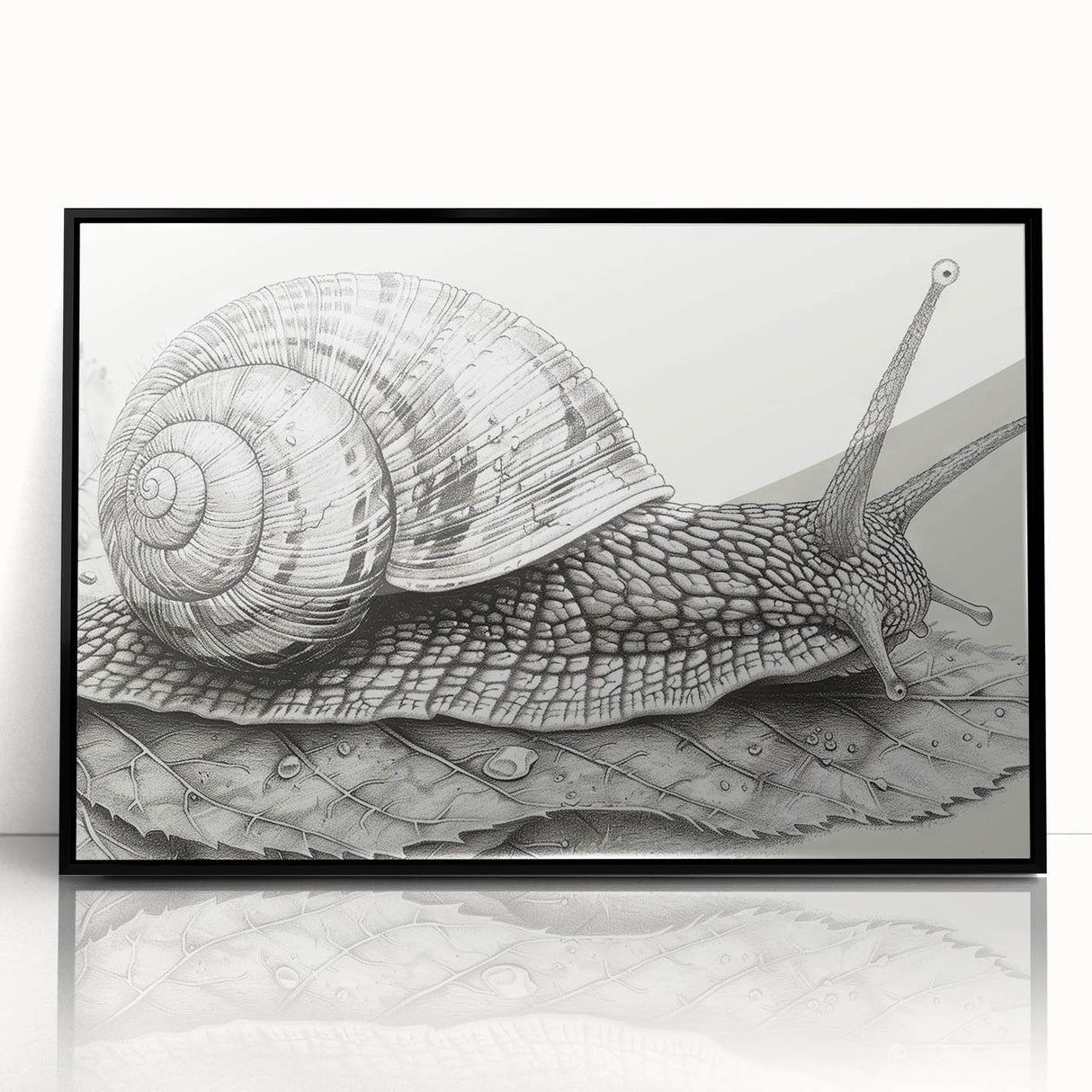 Framed wall art featuring a whimsical snail design in vibrant colors on a sleek black background, ideal for adding a playful touch to home decor.