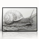 Framed wall art featuring a whimsical snail design in vibrant colors on a sleek black background, ideal for adding a playful touch to home decor.