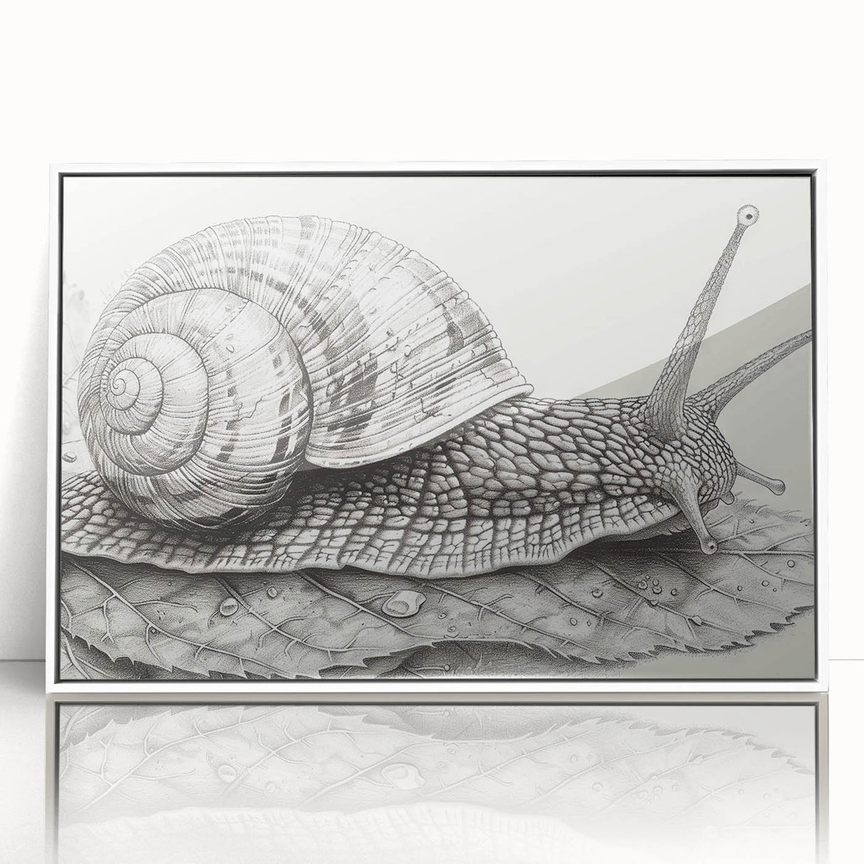 Framed wall art featuring a whimsical snail design with vibrant colors, showcasing a modern aesthetic in a sleek white frame, ideal for children's decor or nature-themed spaces.