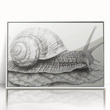 Framed wall art featuring a whimsical snail design with vibrant colors, showcasing a modern aesthetic in a sleek white frame, ideal for children's decor or nature-themed spaces.