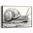 Framed wall art featuring a whimsical snail design on a black background, showcasing intricate details and vibrant colors, perfect for animal-themed decor.