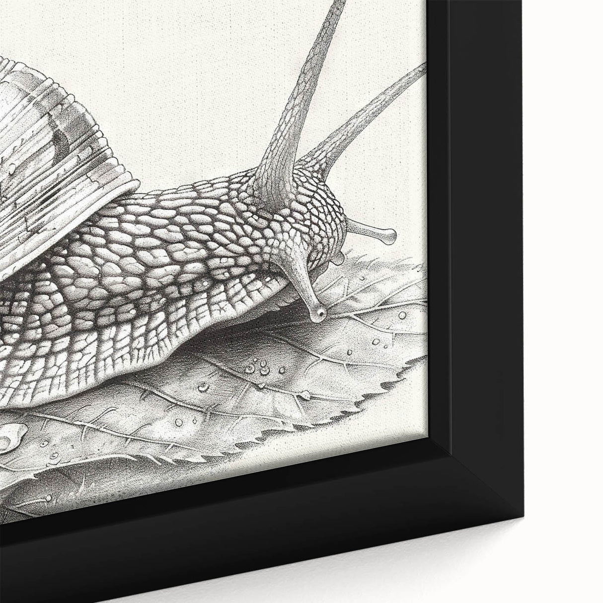Close-up of a vibrant and detailed wall art design featuring a colorful snail, showcasing intricate patterns and textures on a framed canvas, ideal for nature enthusiasts.