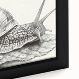 Close-up of a vibrant and detailed wall art design featuring a colorful snail, showcasing intricate patterns and textures on a framed canvas, ideal for nature enthusiasts.