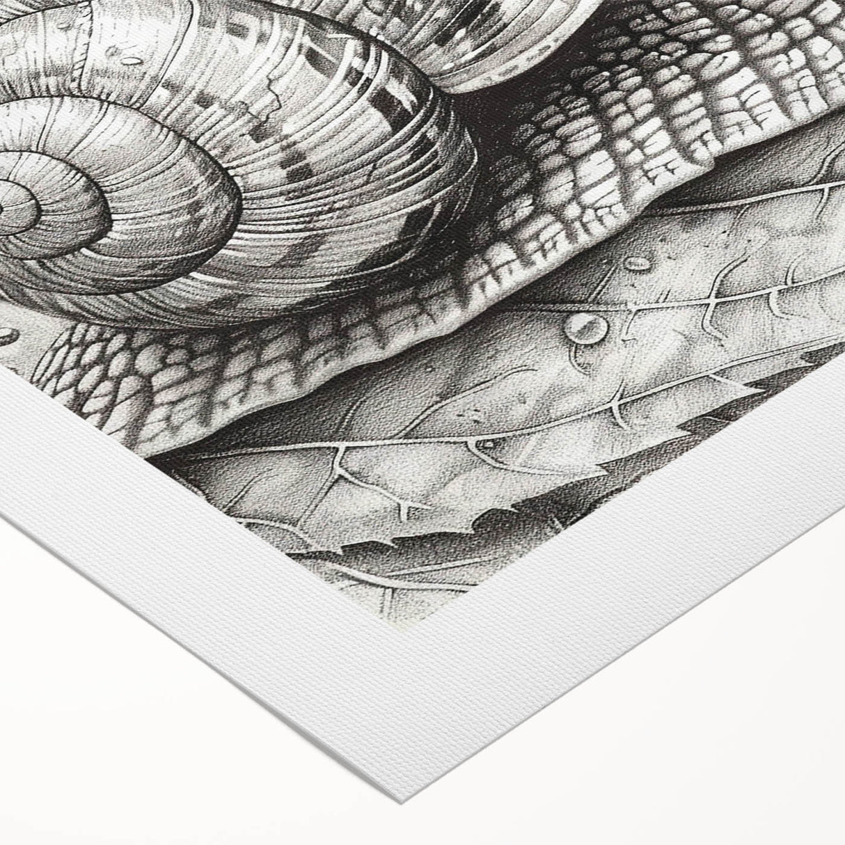 Colorful snail design wall art on rolled canvas, showcasing vibrant patterns and intricate details, perfect for nature-themed decor in any space.