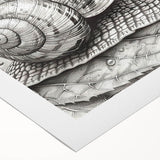 Colorful snail design wall art on rolled canvas, showcasing vibrant patterns and intricate details, perfect for nature-themed decor in any space.