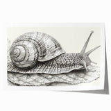Colorful snail design wall art print showcasing vibrant hues and intricate patterns, ideal for nature lovers and home decor enthusiasts, rolled and ready for framing.