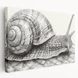 Colorful snail wall art design on stretched canvas, showcasing intricate details and vibrant hues, perfect for nature lovers and modern decor enthusiasts.