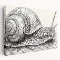 Colorful snail wall art design on stretched canvas, showcasing intricate details and vibrant hues, perfect for nature lovers and modern decor enthusiasts.