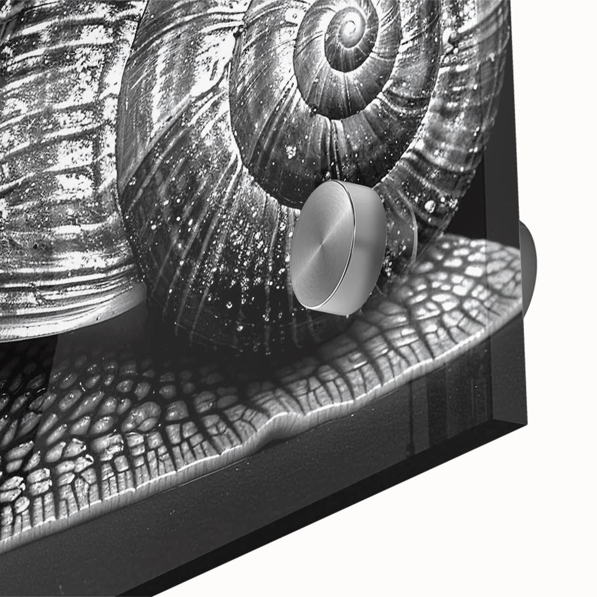 Close-up of a vibrant wall art piece featuring a colorful snail design on acrylic glass, showcasing intricate details and textures ideal for nature enthusiasts.
