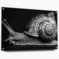 Colorful acrylic glass wall art showcasing a detailed snail design, featuring a side view with decorative pins, perfect for nature-inspired decor.