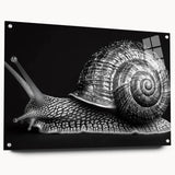 Colorful acrylic glass wall art showcasing a detailed snail design, featuring a side view with decorative pins, perfect for nature-inspired decor.