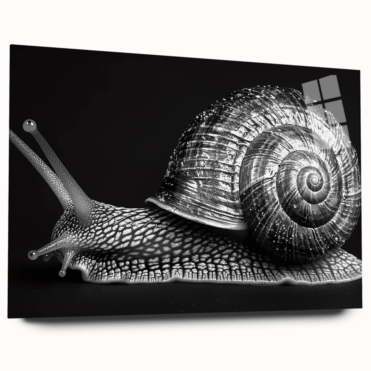 Colorful acrylic wall art collection featuring a whimsical snail design in a side view, showcasing intricate details and vibrant hues, perfect for animal lovers.