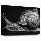 Colorful acrylic wall art collection featuring a whimsical snail design in a side view, showcasing intricate details and vibrant hues, perfect for animal lovers.