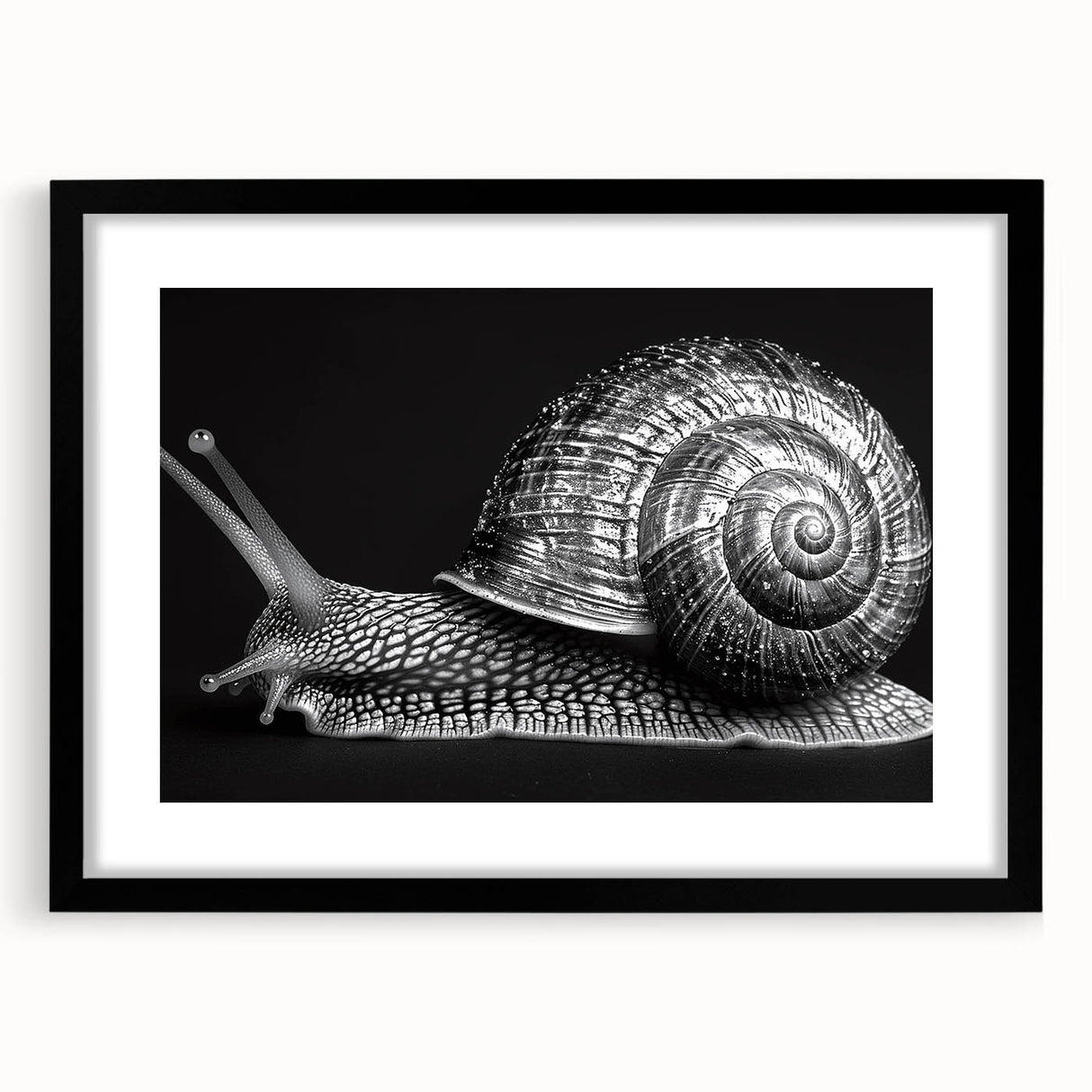 Framed wall art of a whimsical snail design, intricately detailed with vibrant colors, featuring a sleek black frame and mat, perfect for animal-themed decor.