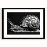 Framed wall art of a whimsical snail design, intricately detailed with vibrant colors, featuring a sleek black frame and mat, perfect for animal-themed decor.