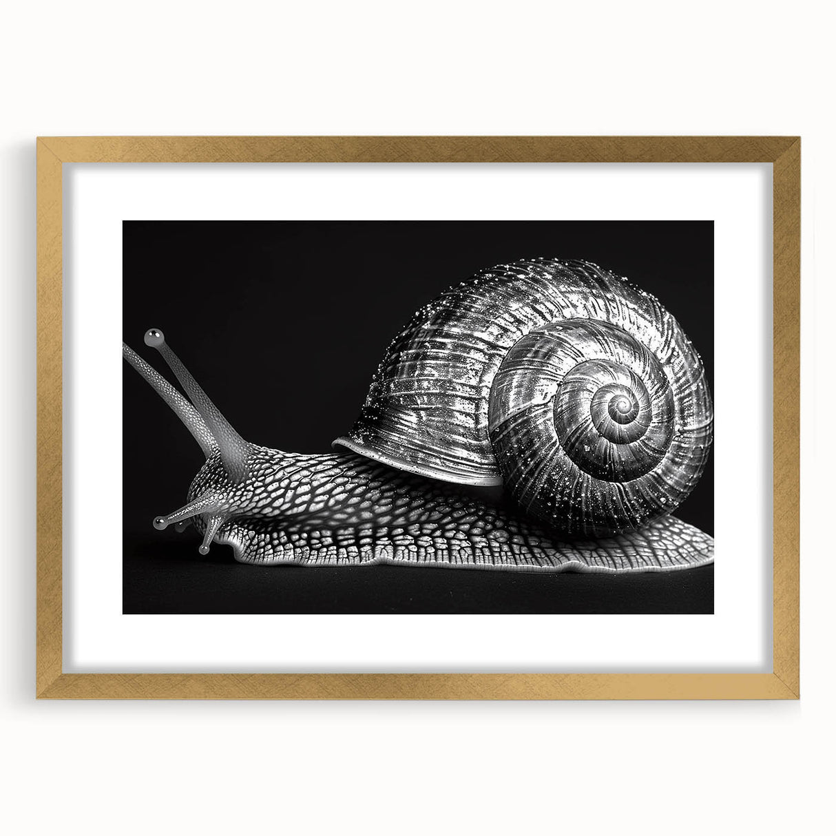 Elegant snail design wall art in a gold frame with a mat, showcasing intricate details and vibrant colors, perfect for nature-themed decor or gallery walls.