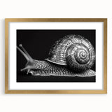 Elegant snail design wall art in a gold frame with a mat, showcasing intricate details and vibrant colors, perfect for nature-themed decor or gallery walls.
