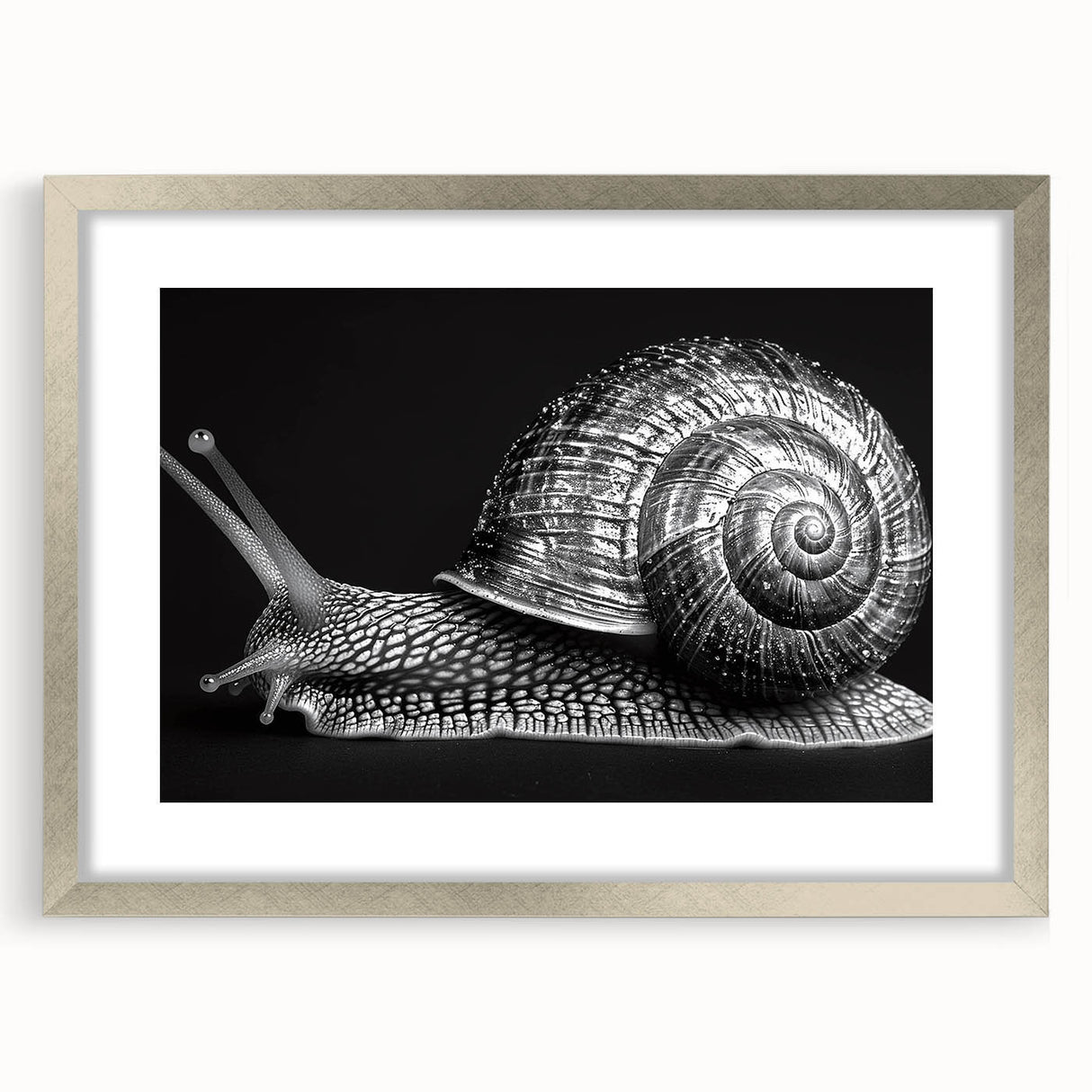 Snail-themed wall art design framed in silver, showcasing intricate details and vibrant colors, perfect for enhancing any nature-inspired decor.