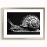 Snail-themed wall art design framed in silver, showcasing intricate details and vibrant colors, perfect for enhancing any nature-inspired decor.