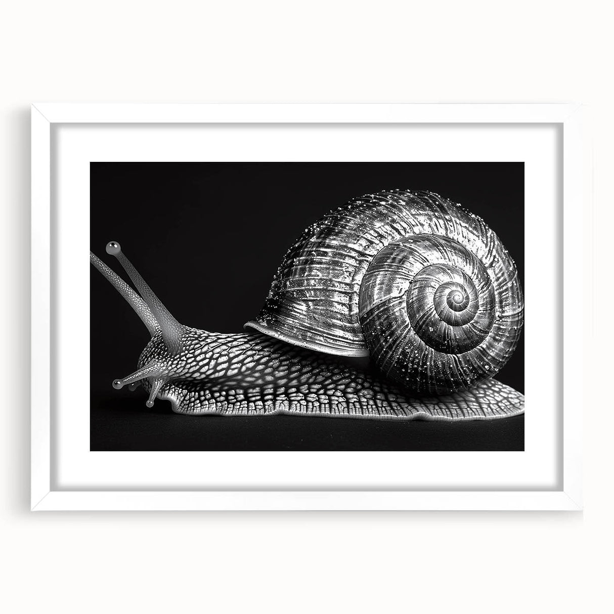 Framed wall art featuring a whimsical snail design in vibrant colors, set against a white mat, perfect for enhancing children's rooms or nature-themed decor.