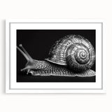 Framed wall art featuring a whimsical snail design in vibrant colors, set against a white mat, perfect for enhancing children's rooms or nature-themed decor.