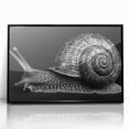 Framed wall art design featuring a vibrant snail illustration in a modern black frame, perfect for adding a touch of nature-inspired decor to any space.