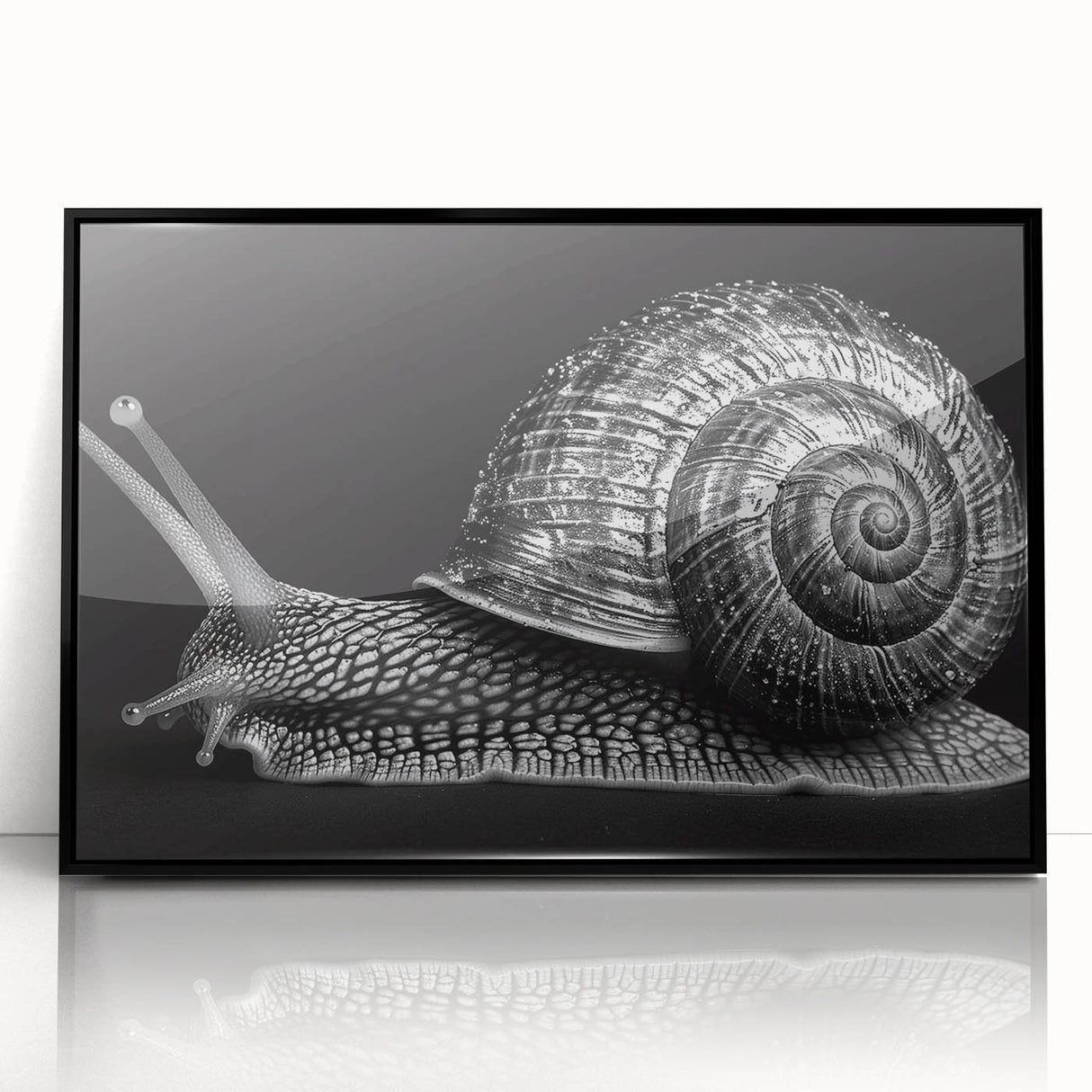 Framed wall art design featuring a vibrant snail illustration in a modern black frame, perfect for adding a touch of nature-inspired decor to any space.