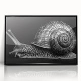 Framed wall art design featuring a vibrant snail illustration in a modern black frame, perfect for adding a touch of nature-inspired decor to any space.